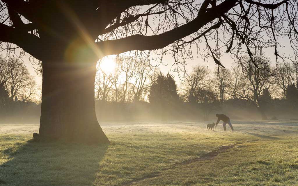 Winter walks by John Miller