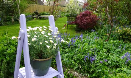 National Gardening Week