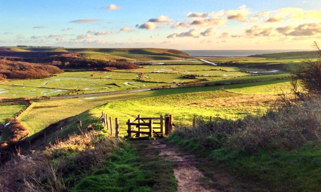 Best picnic spots in East Sussex