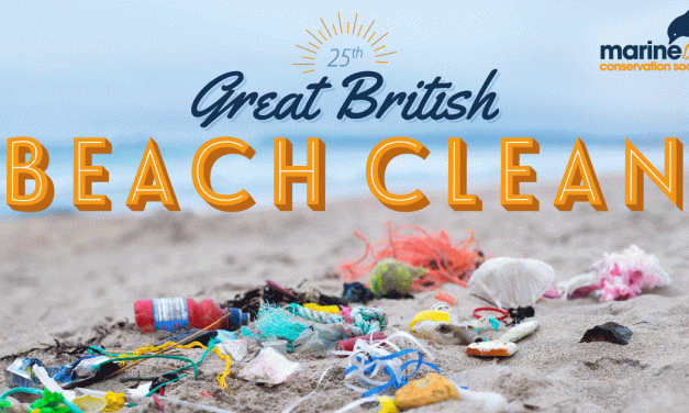 Great British Beach Clean 2018