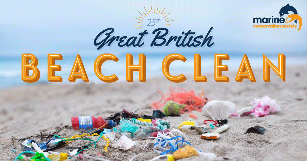 Take part in a beach clean in East Sussex!