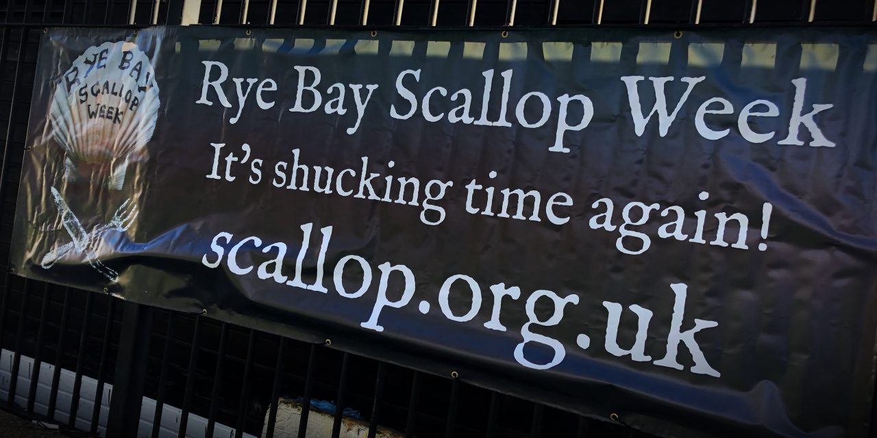 Time to “shellabrate” the famous Rye scallop!