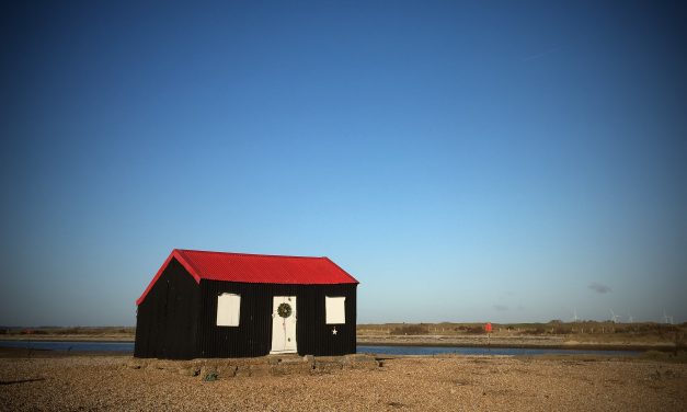 100 years of protecting Sussex nature put under the spotlight