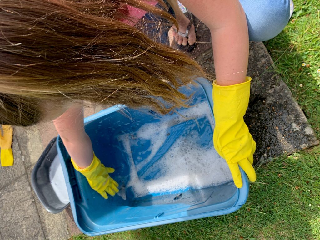 Girl cleaning the inside of a plastic box to make a hedgehog home