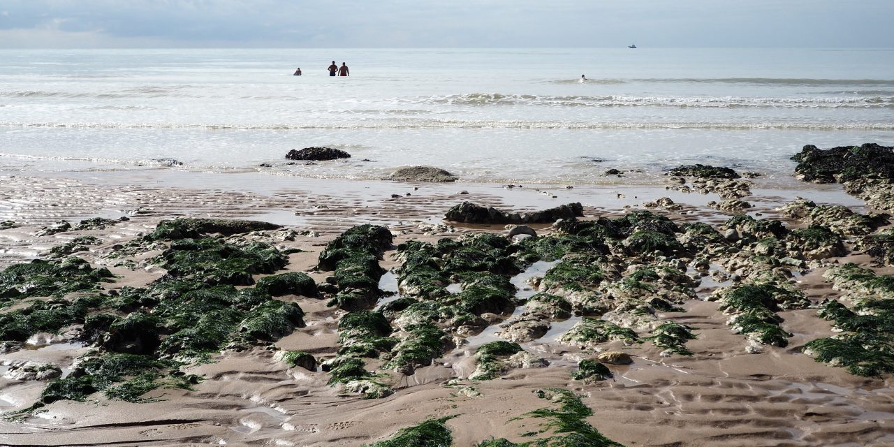 Birling gap beach.