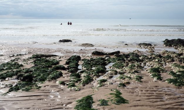Birling gap beach.