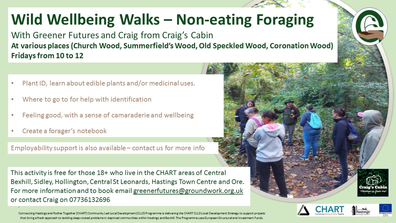 Wild Wellbeing Walks - Non-eating Foraging