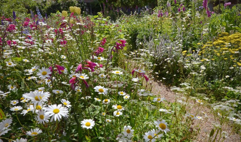 A wild Flower garden one of the most romantic spots in East Sussex