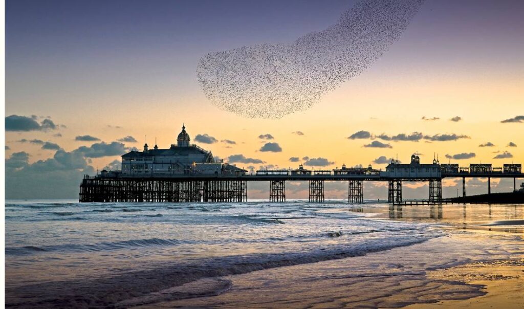 A sunset over an East sussex beach. the pier is in view as waves roll gently on the shore.