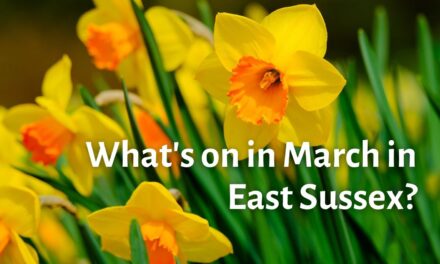 What’s on in March – put a spring in your step