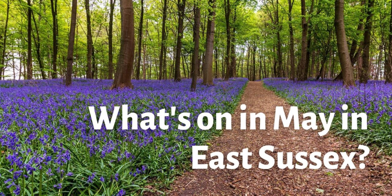 What’s on in May in East Sussex?
