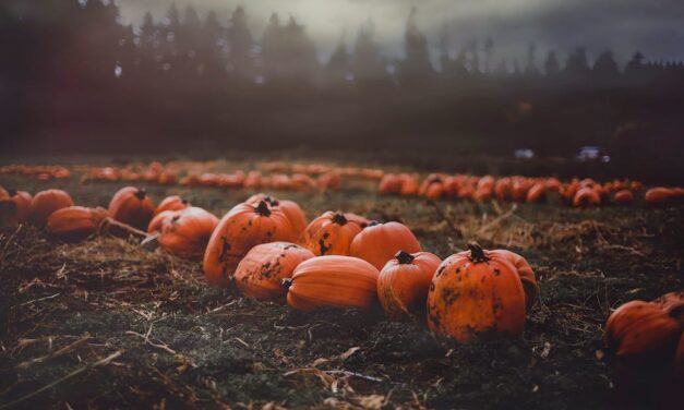 What’s On: Halloween in East Sussex