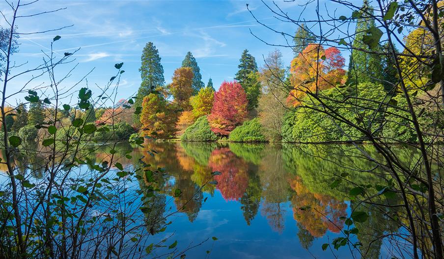 autumn trees reflected in a still lake