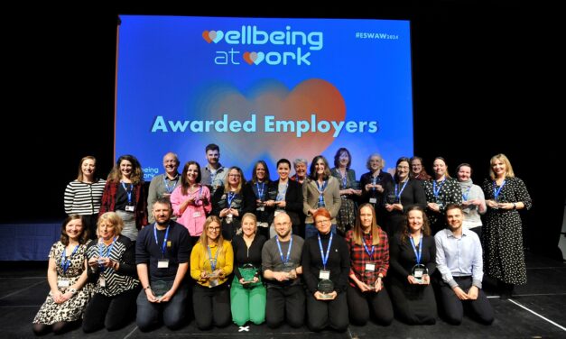 Wellbeing at Work Awards 2024