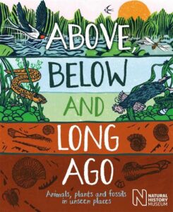 Book cover of 'Above, below and long ago' by Michael Bright and Jonathan Emmerson