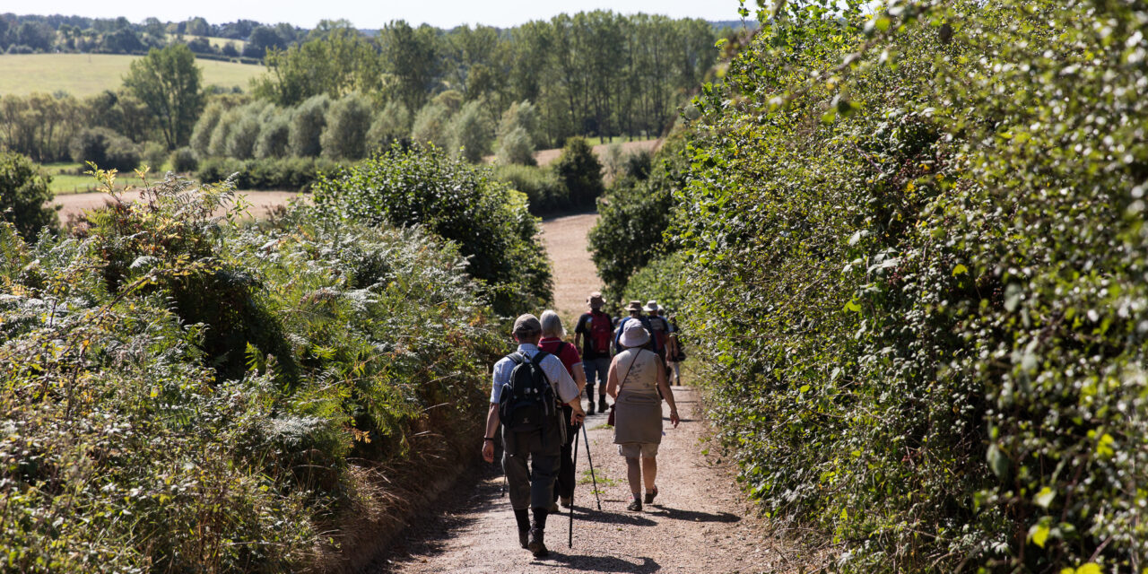 A group of people wearing backpacks walk down a footpath, nestled between shrubs and fields of the English Counctryside | High Weald Walking Festival