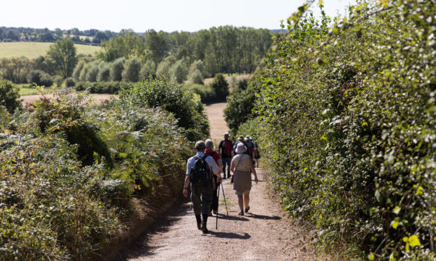 A group of people wearing backpacks walk down a footpath, nestled between shrubs and fields of the English Counctryside | High Weald Walking Festival