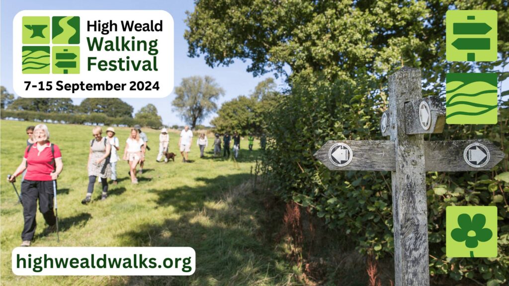 A group of ramblers walk across a green field. Text reads: High Weald Walking Festival 7 - 15 September 2024