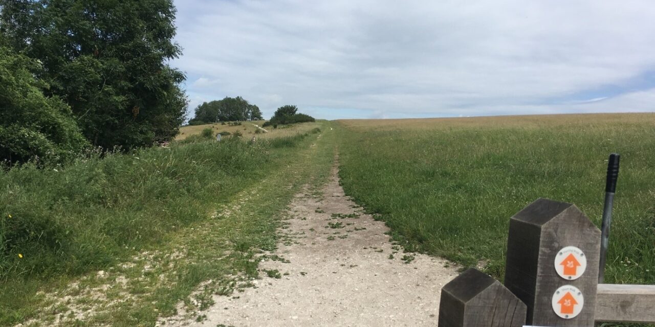 South Downs Way walk