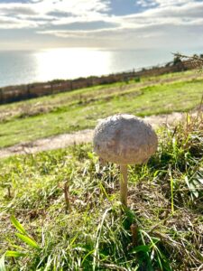 Hastings Country Park