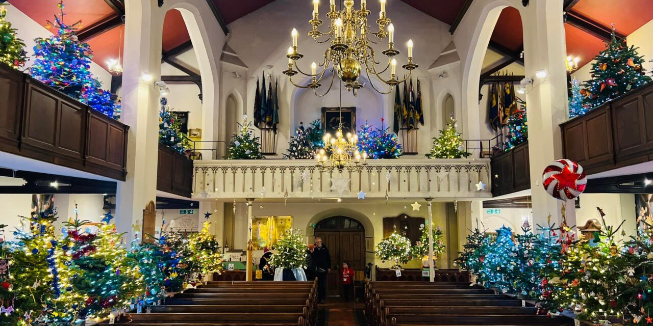 decorated Christmas trees in a church