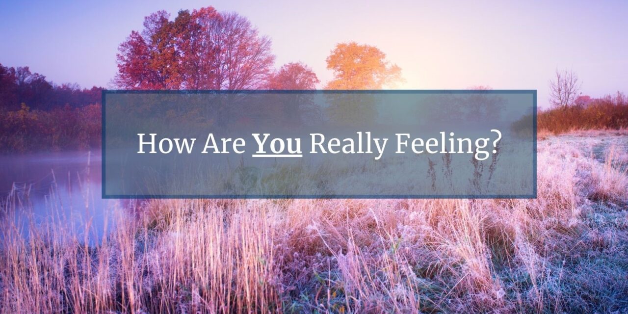 How are you really feeling? – the gift of mental wellbeing