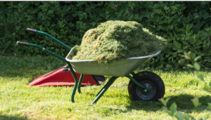 Will barrow full of grass. 