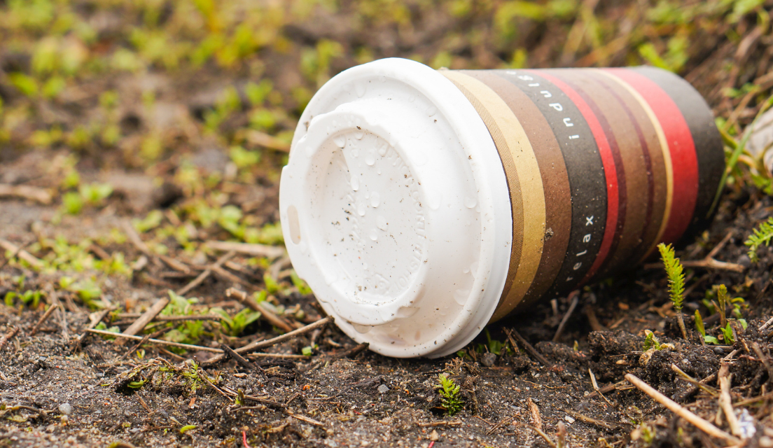 disposable coffee cup east sussex lays discarded on the grass