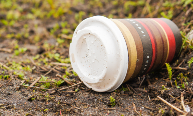 disposable coffee cup east sussex lays discarded on the grass