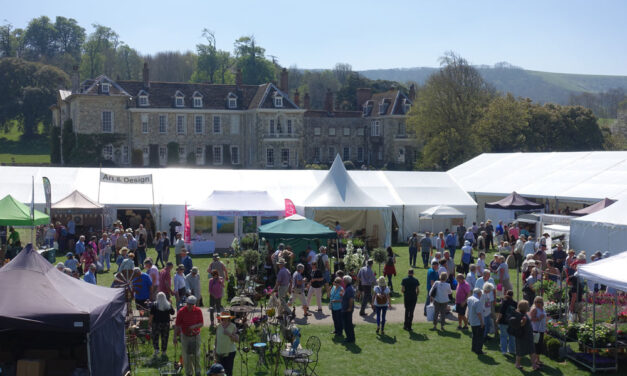 marquees and people on a sunny day in front of a country house