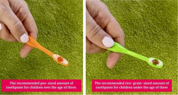 A green toothbrush and an orange toothbrush showing the recommended amount of toothpaste for children over and under the age of three.