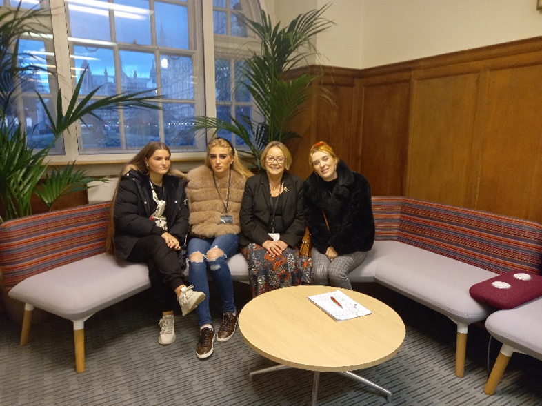 Youth worker and youth group shadowing in the House of Commons.