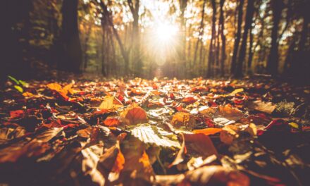 10 things to do this autumn