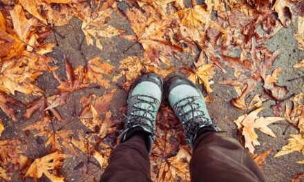 Where to walk this autumn in East Sussex