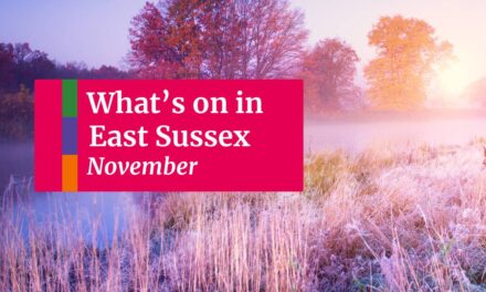 What’s on in November