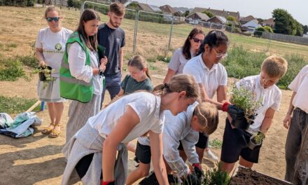 Volunteer roles for young people in East Sussex